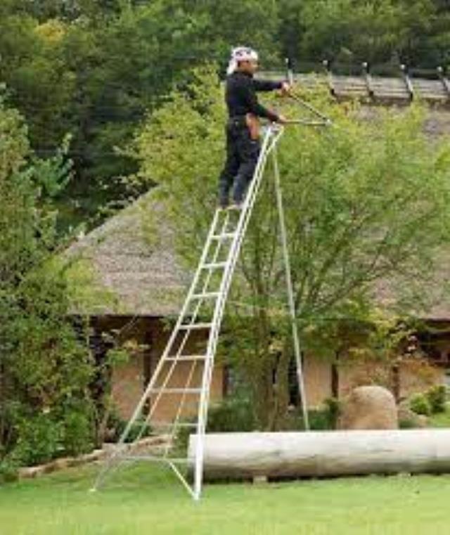 Where to find LADDER, ORCHARD,12 in Placerville